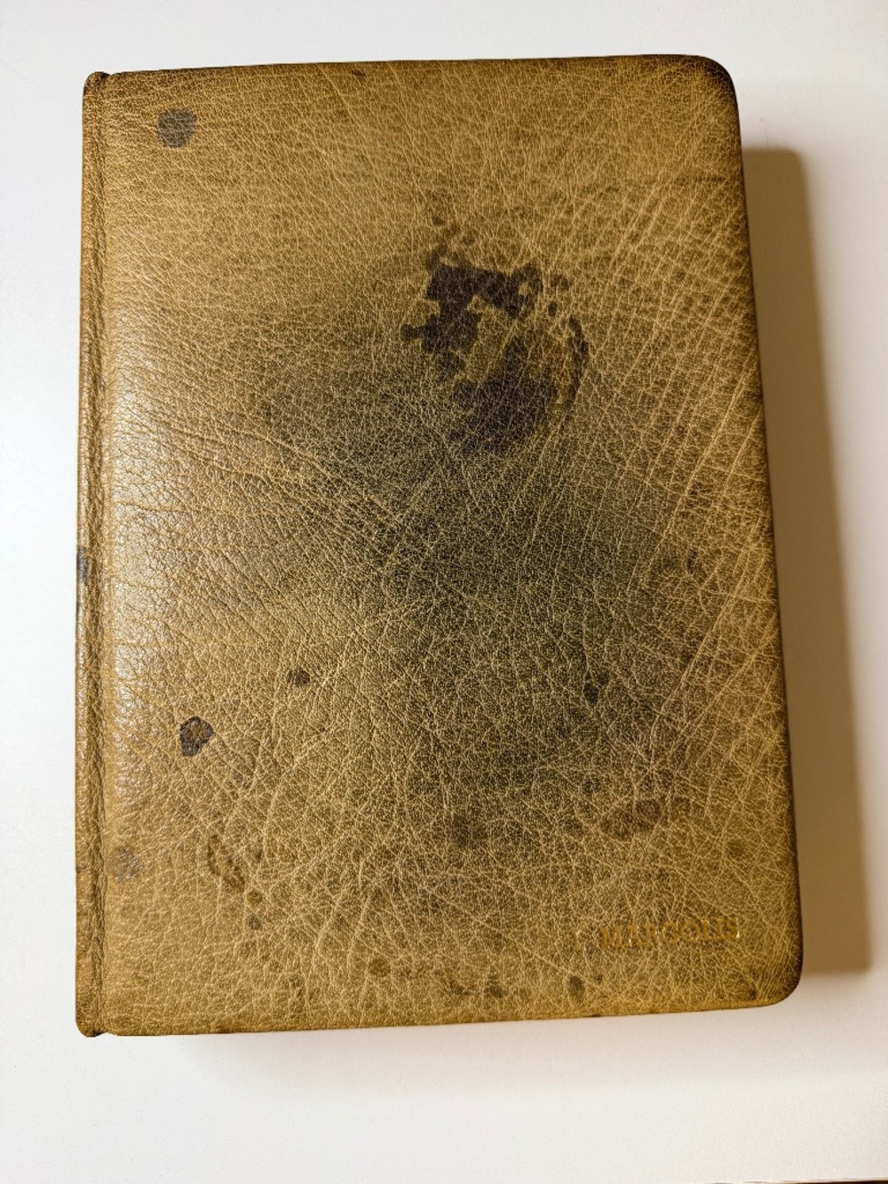 Vintage 1959 Websters New Collegiate Dictionary Made from Water Buffalo by COACH